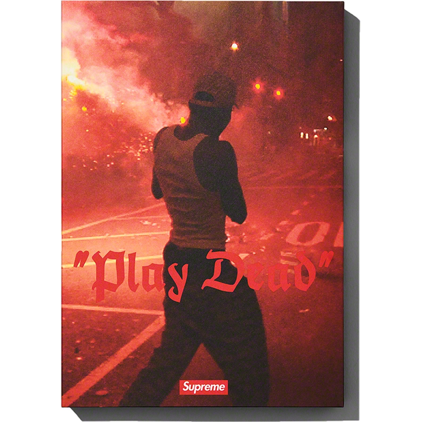 "Play Dead" Book view 5